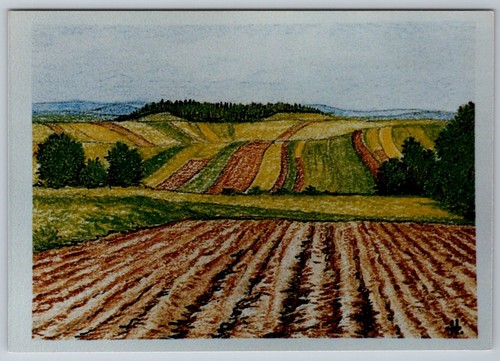 Cartolina paesaggio prato - paesaggio,