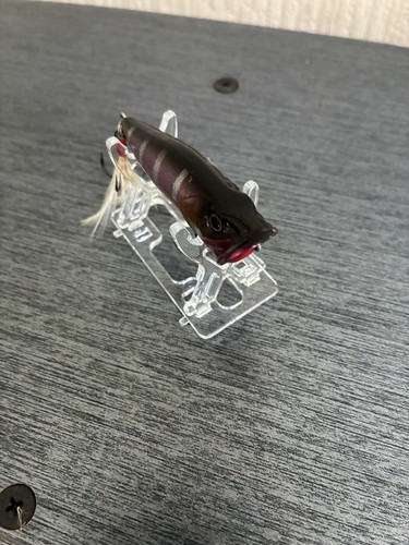 Megabass pop topwater popper - topwater,
