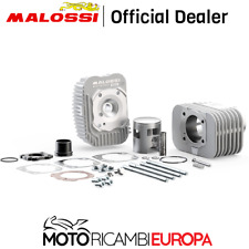 GRUPPO TERMICO MALOSSI BIG