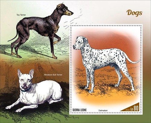 Cani dalmati toy - toy, terrier