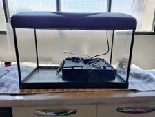 Acquario Amtra 60 litri 
