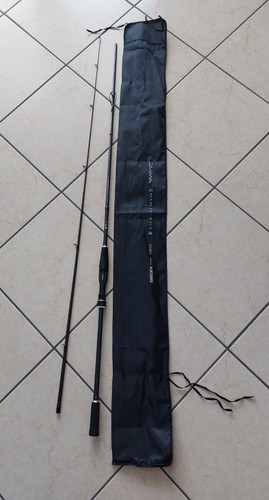 Vendo canna pesca eging mare