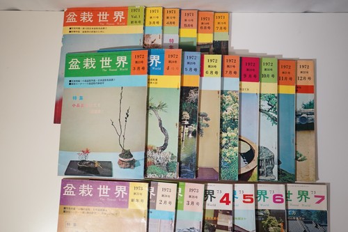 Vintage japanese bonsai - japanese,