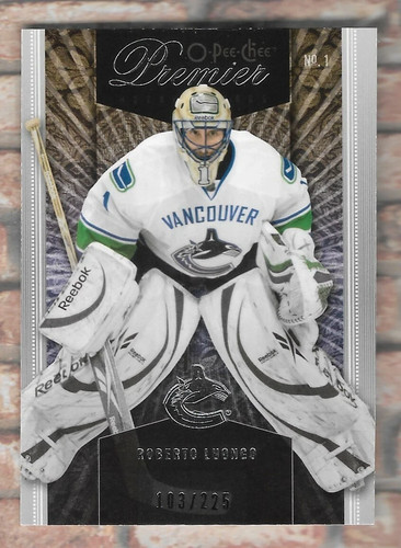 Roberto luongo 2009 - roberto, 2009-10