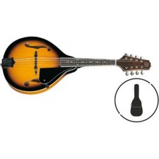 Mandolino elettrificato con - mandolino,