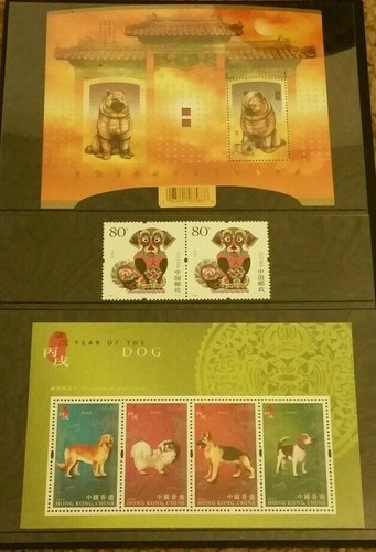 Anno del cane - cane, 2006