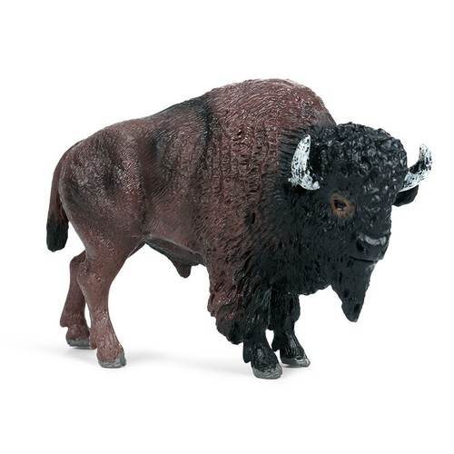 Simulazione bisonte americano - simulazione,