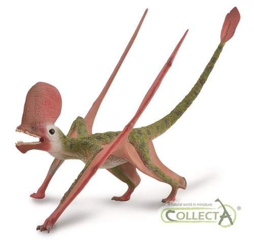 Collecta caviramus statuina - collecta,