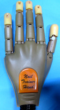 Nail Trainer Hand uses Disposable Fingernails
