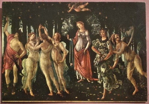 Firenze galleria uffizi - firenze,