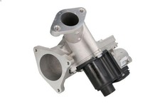 EGR PIERBURG MODULE