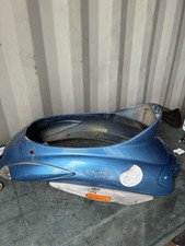 Codone Posteriore Plastica