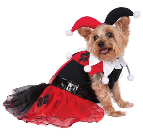 Costume animale domestico - costume,