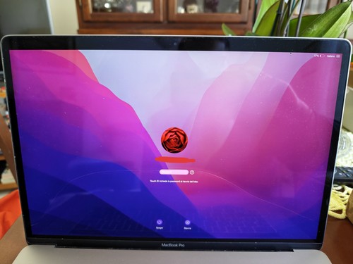 Display macbook pro a1707 - macbook, con