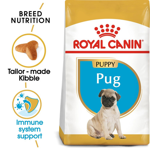 Pug puppy royal canin - puppy,