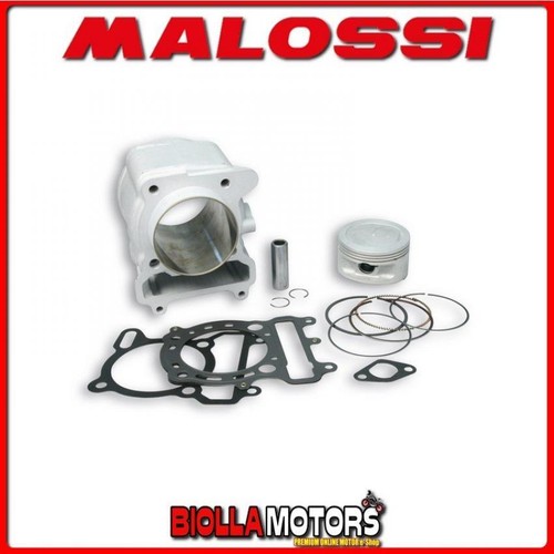 319578 gruppo termico malossi - 319578,