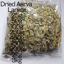 Tisana secca Aerva Lanata