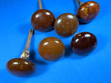 6 C.1910 Brown Porcelain Door