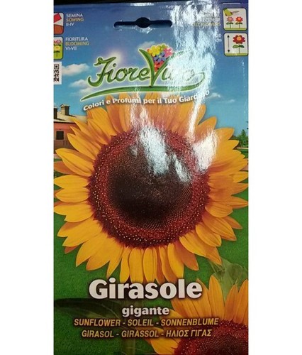 Bustina semi girasole - bustina,