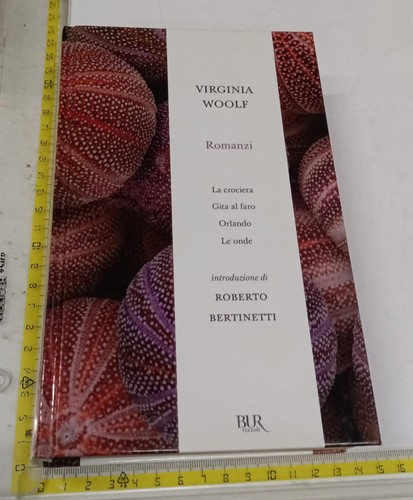 Virginia woolf romanzi - woolf,