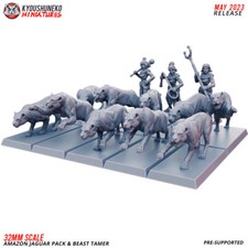 Amazon Jaguar Pack e Beast