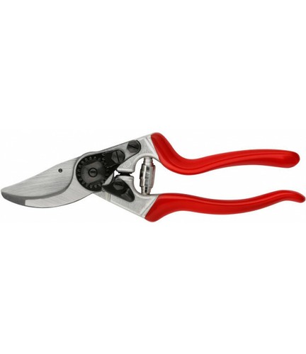 Forbice potatura professionale - potatura,