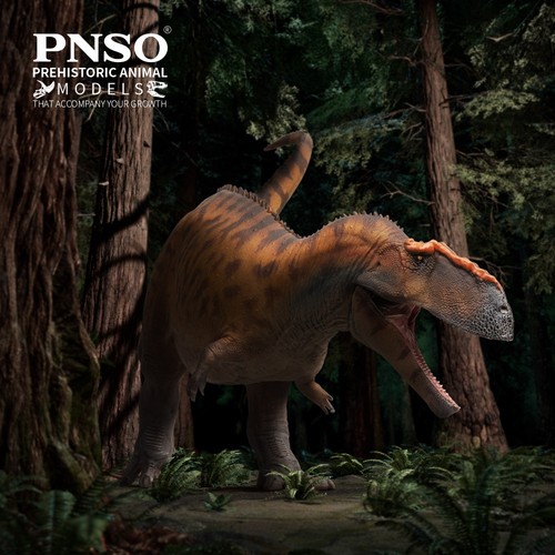Pnso 2025 hugo - pnso,