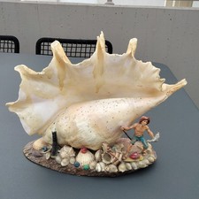 Conchiglia Vintage '60 Pescatore mare Composizione