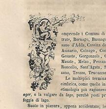 Stampa antica CAPOLETTERA C