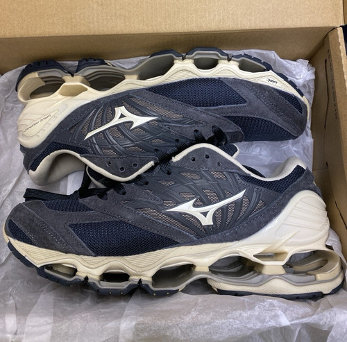 Mizuno wave prophecy - prophecy, ls
