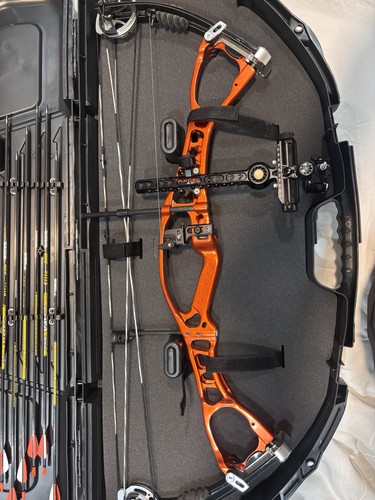 Hoyt target compound bow - target,