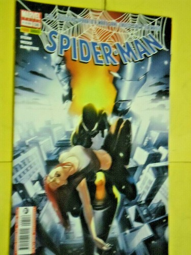 Uomo ragno spider - ragno, spider-man-