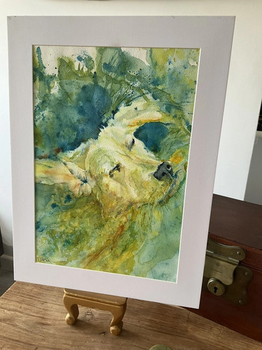 Acquerello originale firmato