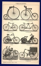 Stampa anno 1899 - bicicletta