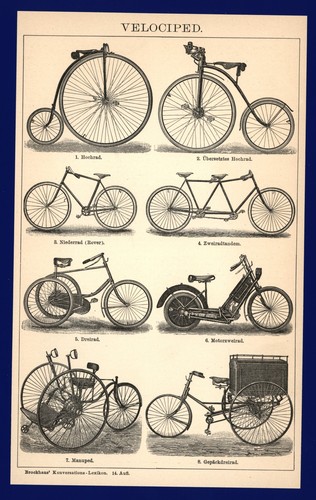 Stampa anno 1899 bicicletta - 1899,