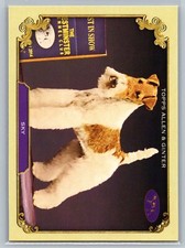 2024 Topps Allen & Ginter The