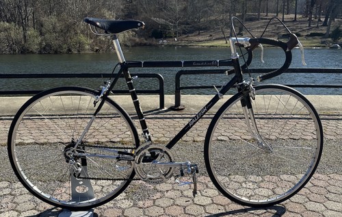 1977 raleigh competition - 1977,