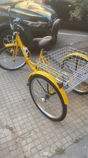 Schiano Trecicletta 24" 05V