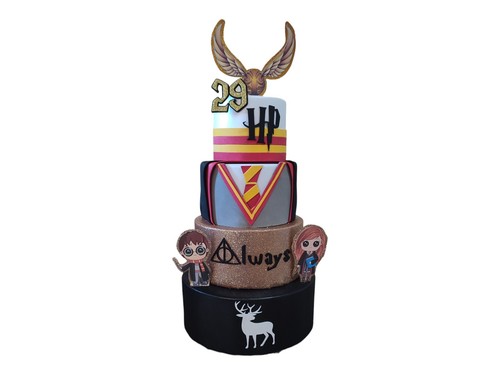 Torta scenografica harry - torta,