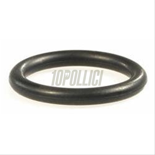 O-Ring perno forcella