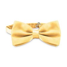 Papillon da uomo Giallo Oro Elegante regolabile 12 x 6 cm