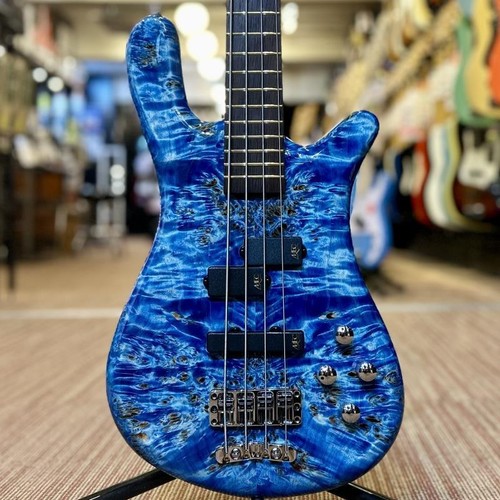 Warwick pro series - warwick,