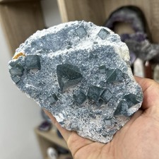 825g Cubic Fluorite Specimen
