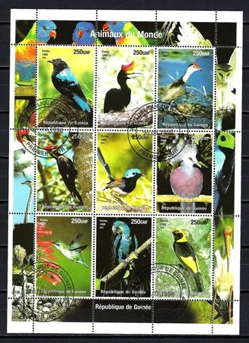 Animali uccelli guinea 1998 - animali,