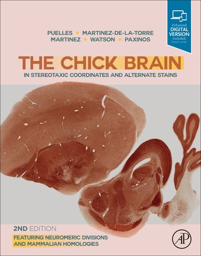 The chick brain stereotaxic - the, in