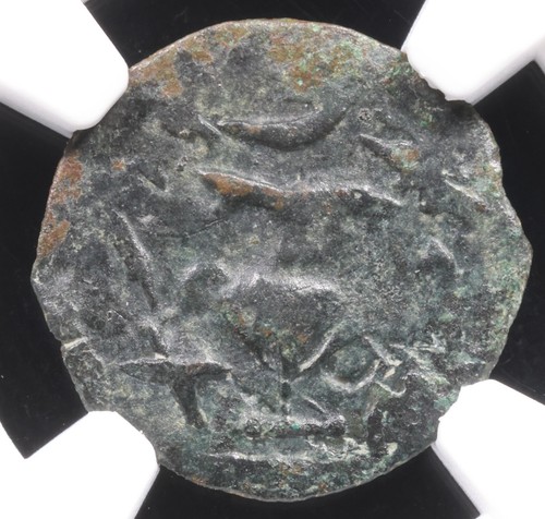 Guerra ebraica bronzo - ae,