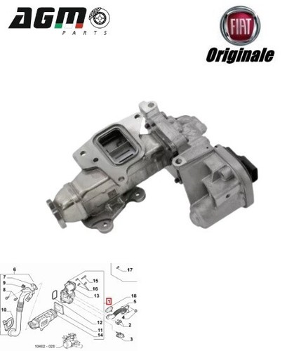 Scambiatore valvola egr - scambiatore,