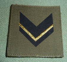 Gradi Pettorali adesivi