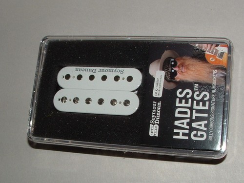Seymour duncan billy gibbons - seymour,