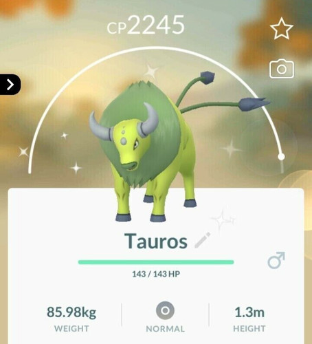 Shiny tauros t c - shiny,